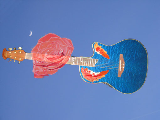 Gitarre mit Rose